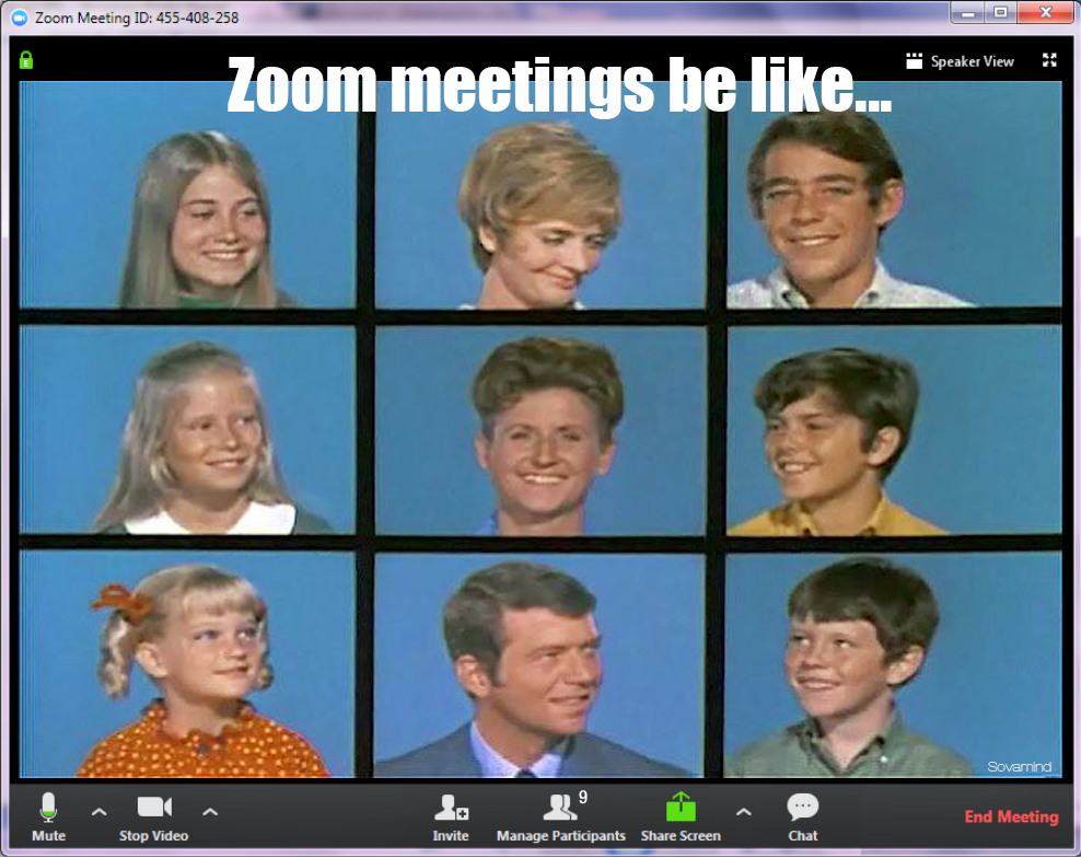 online zoom meeting window with lots of people onscreen